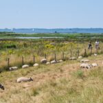 Camping 't Weergors - Bild 18