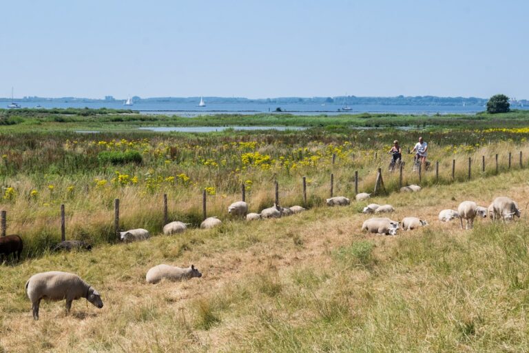 Camping 't Weergors - Bild 20