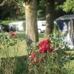 Camping De L'abbatiale - Bild 1