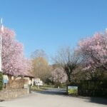 Camping De La Gartempe - Bild 1