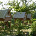 Camping Du Domaine De Senaud - Bild 1