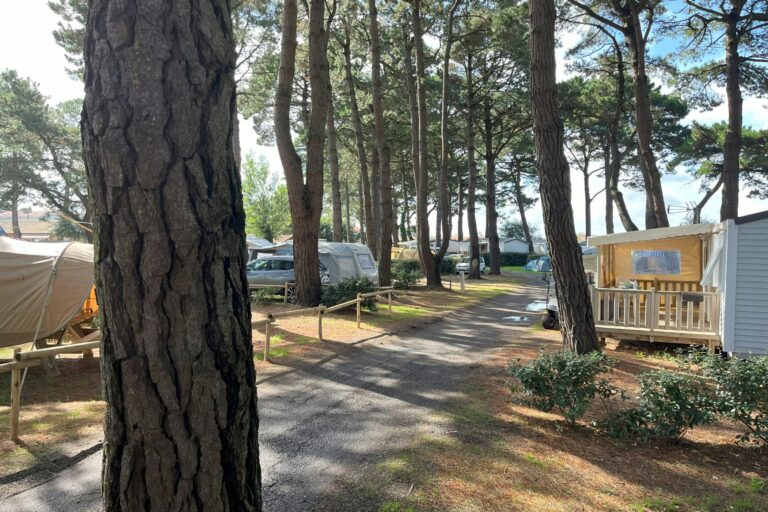 Camping L'estuaire - Bild 1