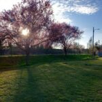 Camping L'ile Aux Mille Charmes - Bild 1