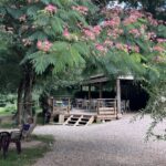 Camping La Prade - Bild 1