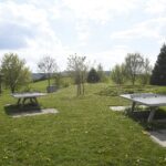 Campingpark Breitenauer See - Bild 11