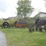 Campingpark Breitenauer See - Bild 15