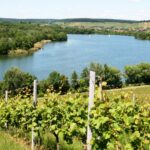 Campingpark Breitenauer See - Bild 4