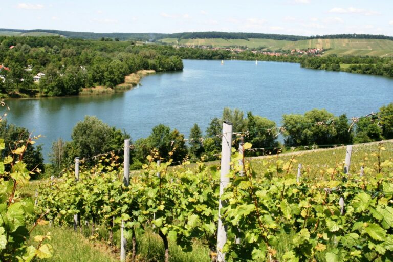 Campingpark Breitenauer See - Bild 4