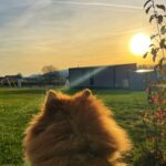 Campingpark Nabburg - Bild 14 Campingpark Nabburg - Bild 14