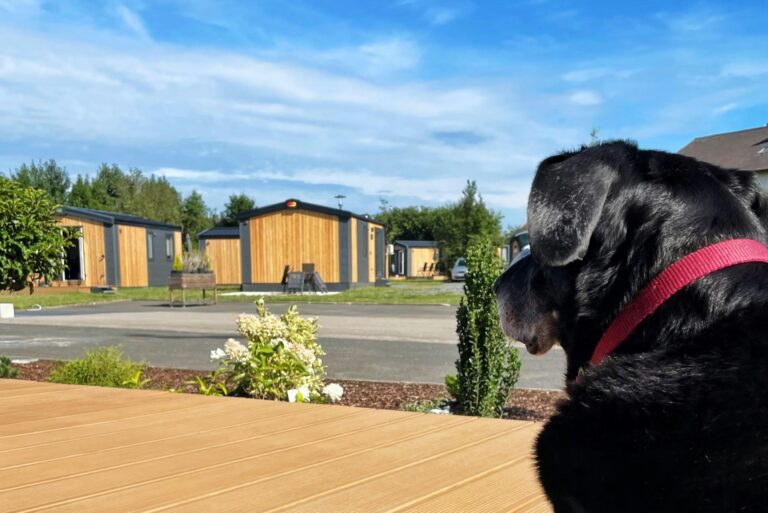 Campingpark Nabburg - Bild 9 Campingpark Nabburg - Bild 9