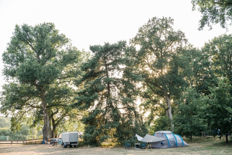 Campingpark Südheide - Bild 11