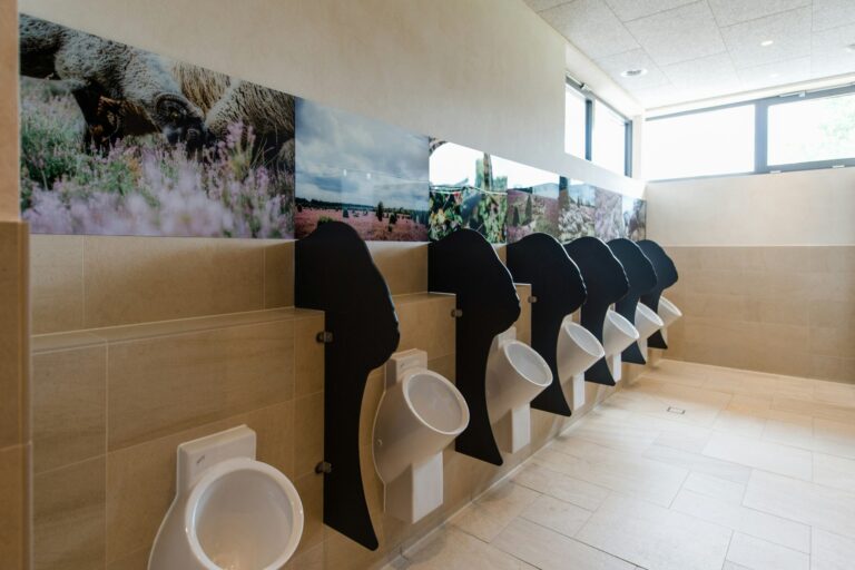 Campingpark Südheide - Bild 14