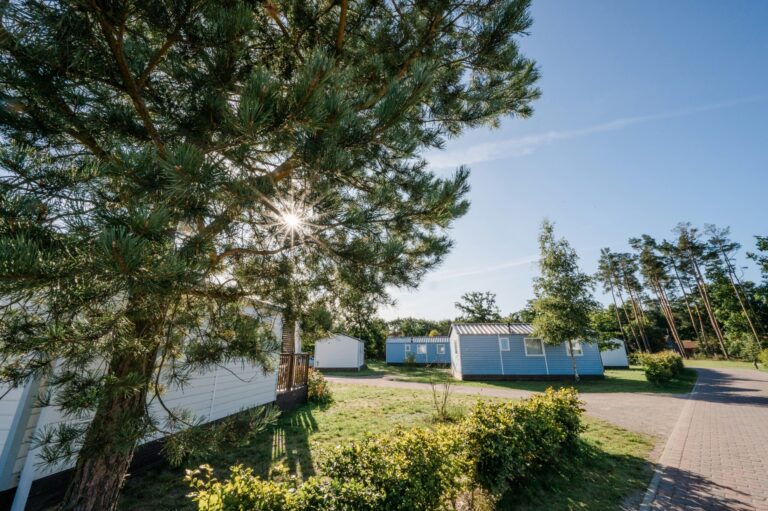 Campingpark Südheide - Bild 4