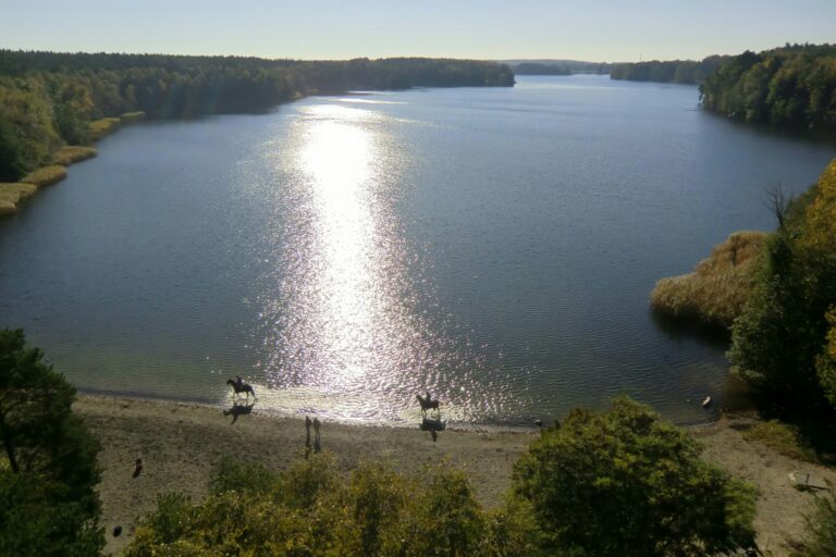 Campingplatz Abc Am Großensee - Bild 3