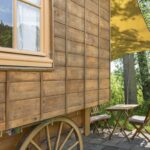 Campingplatz Am Großen Wentowsee - Bild 10