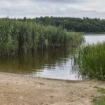 Campingplatz Am Großen Wentowsee - Bild 2