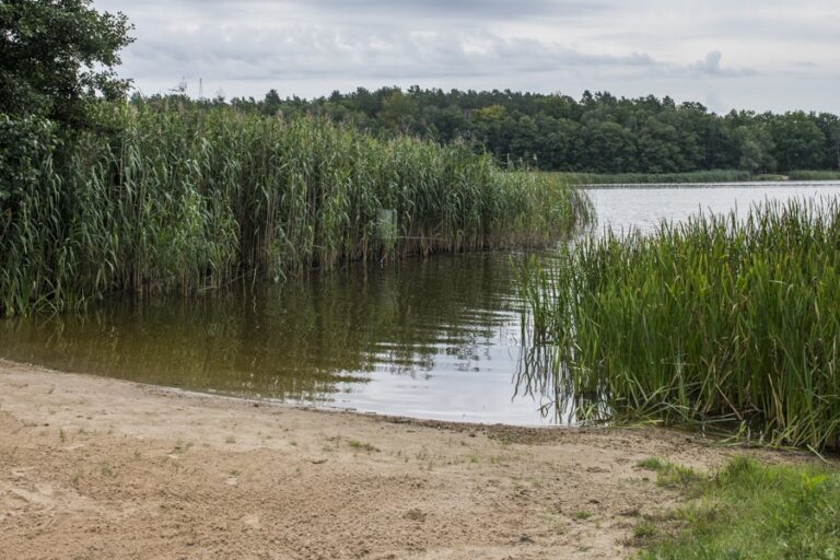 Campingplatz Am Großen Wentowsee - Bild 2