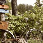 Campingplatz Am Großen Wentowsee - Bild 9