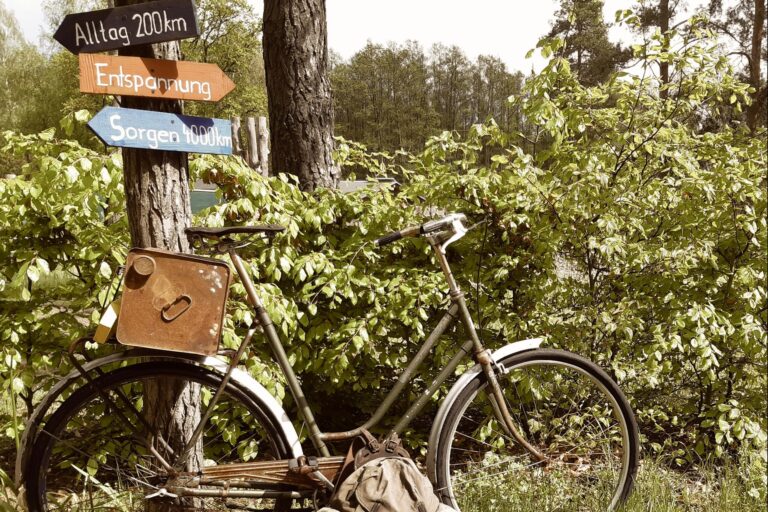 Campingplatz Am Großen Wentowsee - Bild 9