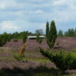 Campingplatz Auf Dem Simpel - Bild 17 Campingplatz Auf Dem Simpel - Bild 17