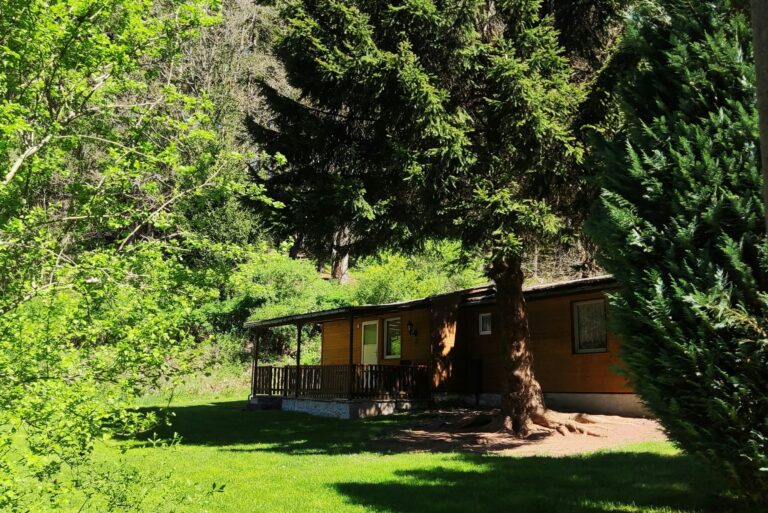 Campingplatz & Bungalowdorf "am Waldbad" - Bild 3 Campingplatz & Bungalowdorf "am Waldbad" - Bild 3