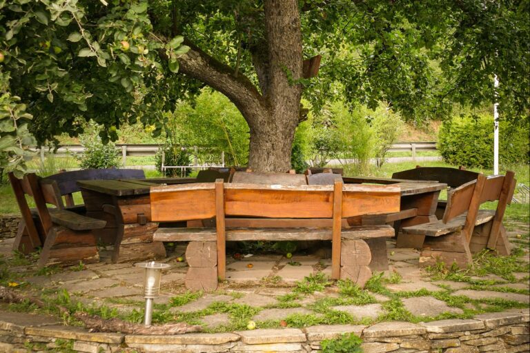 Campingplatz Haumühle - Bild 3