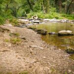 Campingplatz Haumühle - Bild 5