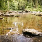 Campingplatz Haumühle - Bild 6