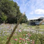 Campingplatz Hof Biggen - Bild 4