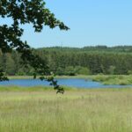 Campingplatz Jungferweiher - Bild 14