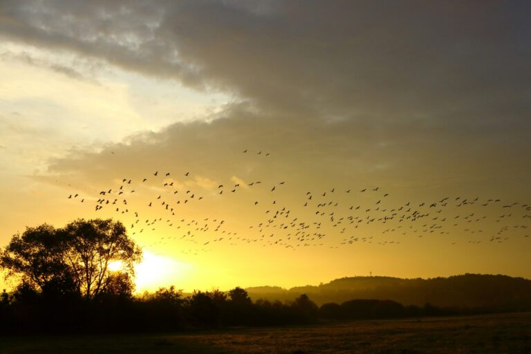Campingplatz Jungferweiher - Bild 20