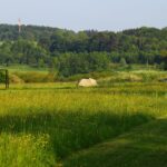 Campingplatz Jungferweiher - Bild 7