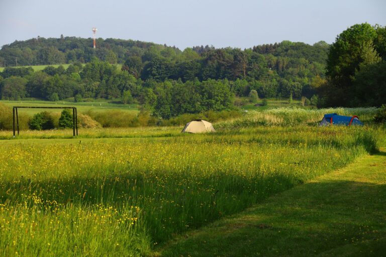 Campingplatz Jungferweiher - Bild 7