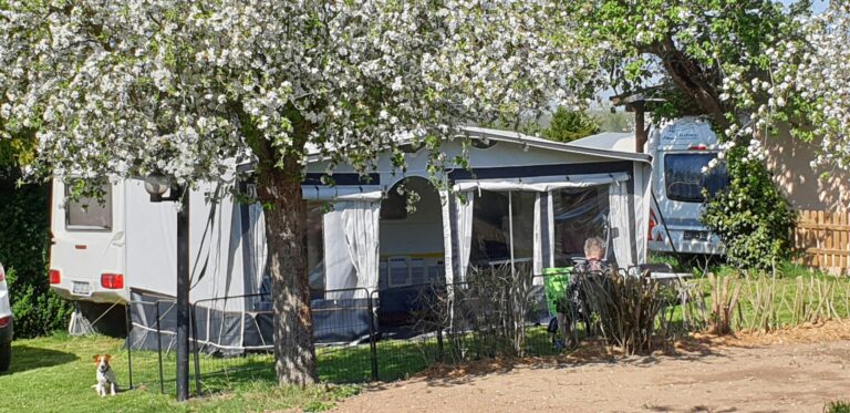 Campingplatz Landidyll - Bild 2 Campingplatz Landidyll - Bild 2