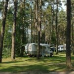 Campingplatz Am Leppinsee - Bild 1