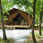 Flower Camping Jas Du Moine - Bild 1