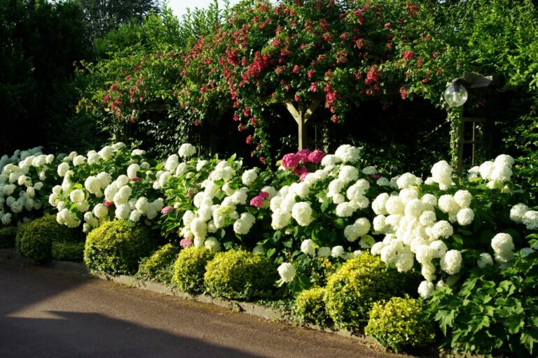 Castel Camping Les Bois Du Bardelet - Bild 9 Castel Camping Les Bois Du Bardelet - Bild 9