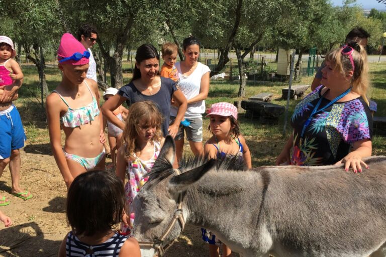 Centro Vacanze San Marino - Bild 13