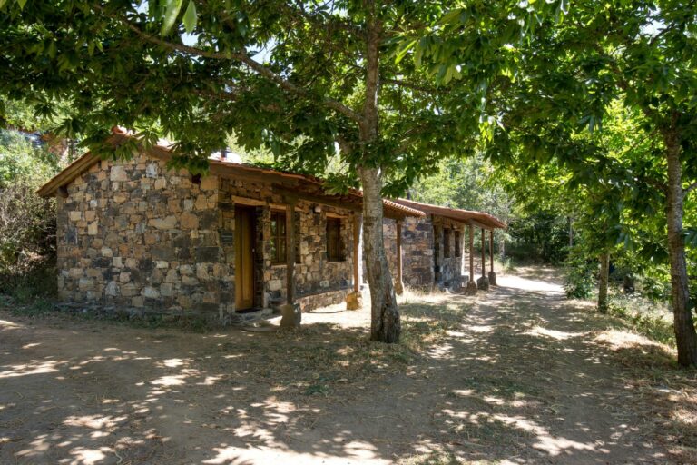 Cepo Verde - Bild 10 Cepo Verde - Bild 10