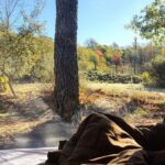 Cepo Verde - Bild 13 Cepo Verde - Bild 13