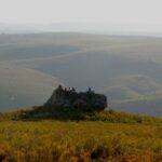 Cepo Verde - Bild 17 Cepo Verde - Bild 17