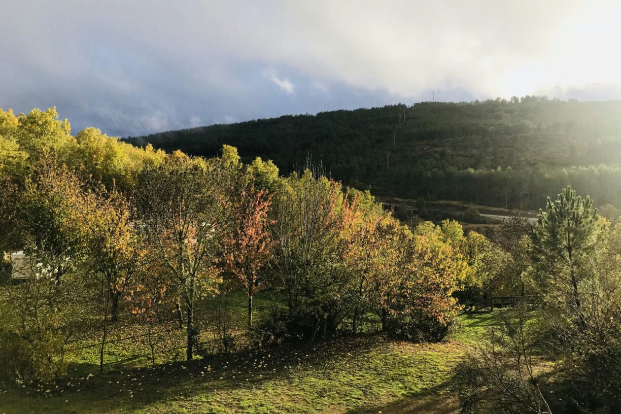 Cepo Verde - Bild 18 Cepo Verde - Bild 18