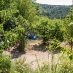 Cepo Verde - Bild 2 Cepo Verde - Bild 2