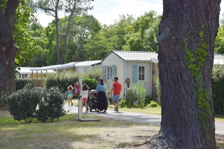 Chadotel Camping La Trevillière - Bild 8
