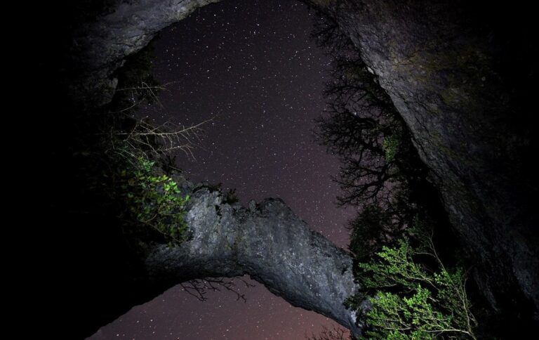 Château De Lacomté Country Club - Bild 15