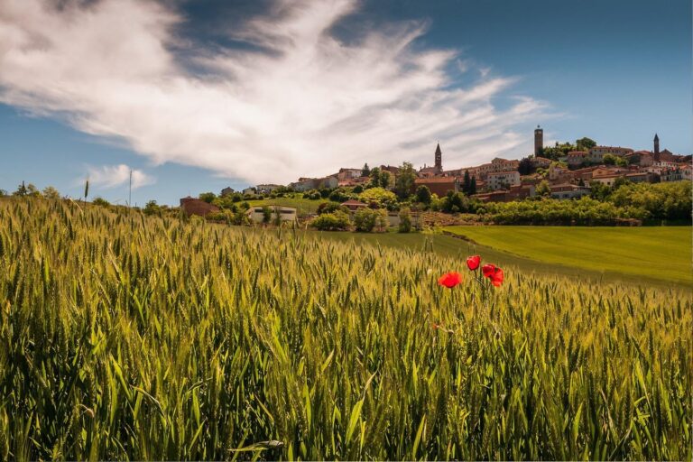 Comfort Camping Tenuta Squaneto - Bild 8