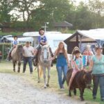 Dalgård Camping - Bild 19