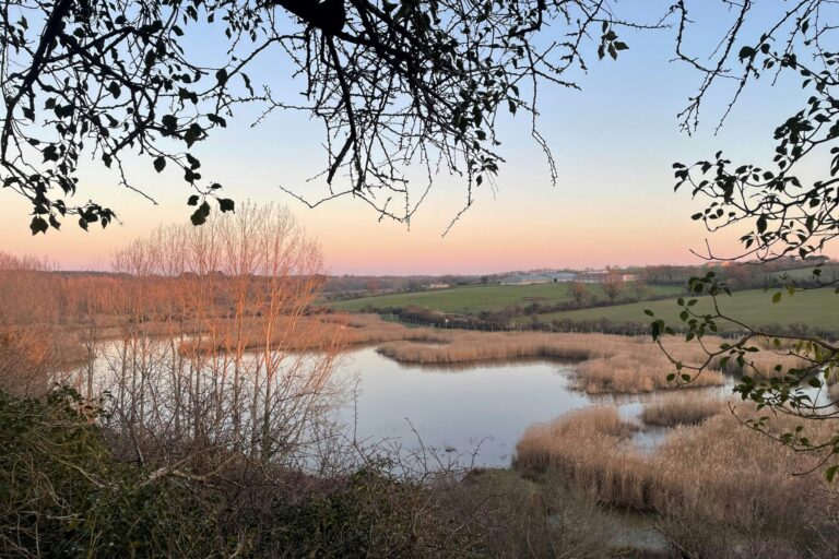 Damona Lodges - Bild 2