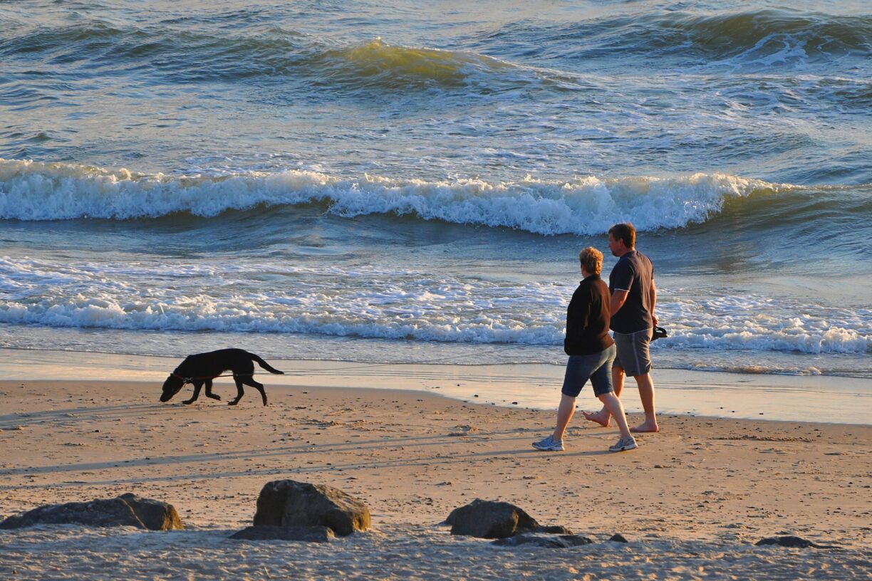 Dancamps Holmsland - Bild 10 Dancamps Holmsland - Bild 10