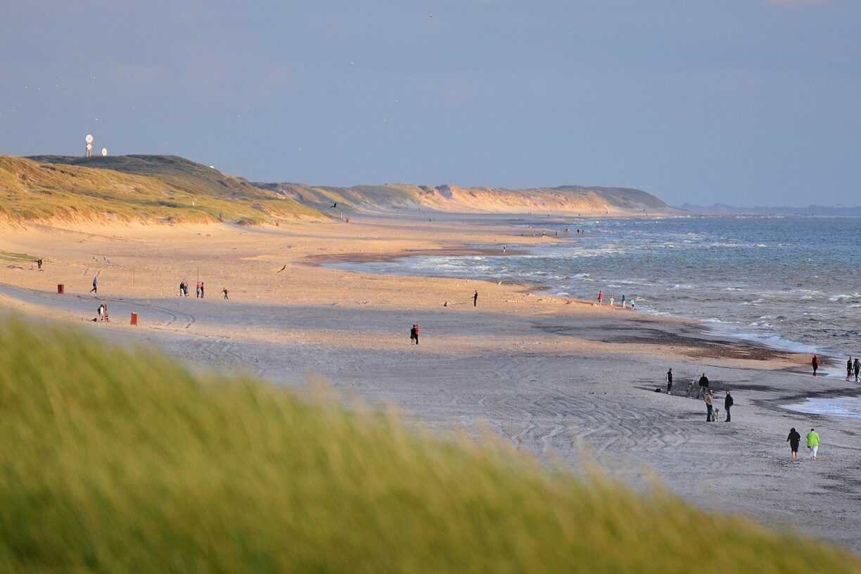 Dancamps Holmsland - Bild 11 Dancamps Holmsland - Bild 11